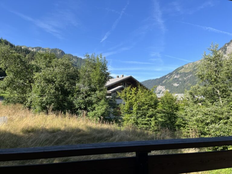 Vue depuis la terrasse du chalet