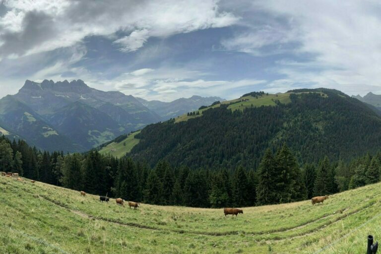 Montagne Alpes entre France et Suisse