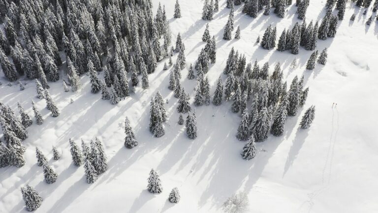 Paysage hiver Alpes